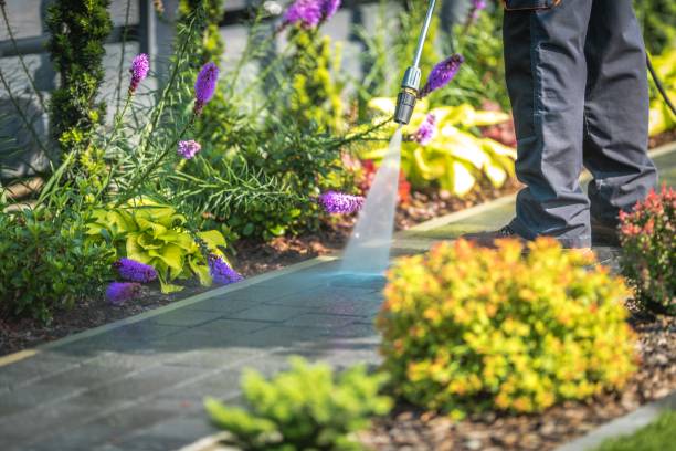 Best Sidewalk and Walkway Cleaning  in Hutto, TX