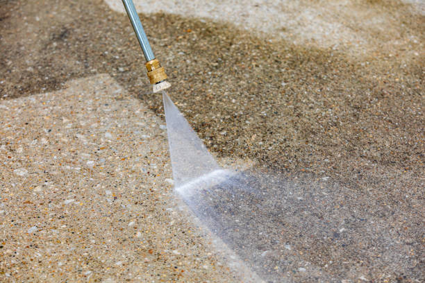 Best Dumpster Area Cleaning  in Hutto, TX